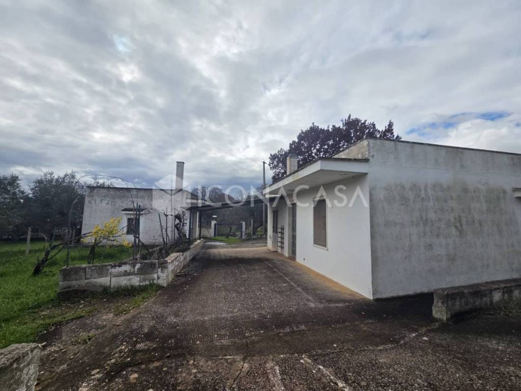 immagine annuncio 5 di 14