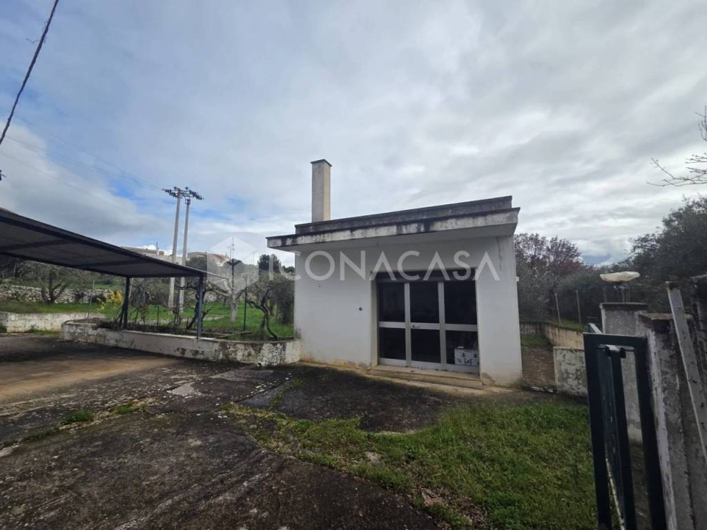 immagine annuncio 9 di 14