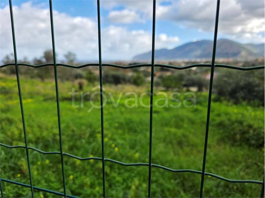 immagine annuncio 4 di 8