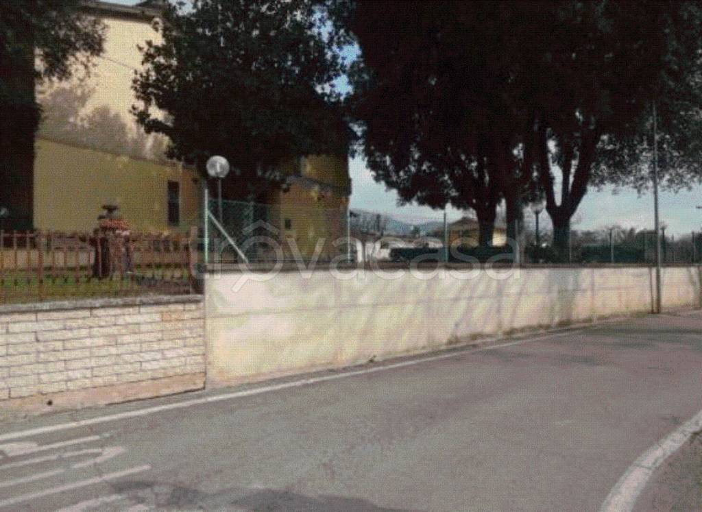 immagine annuncio 3 di 12