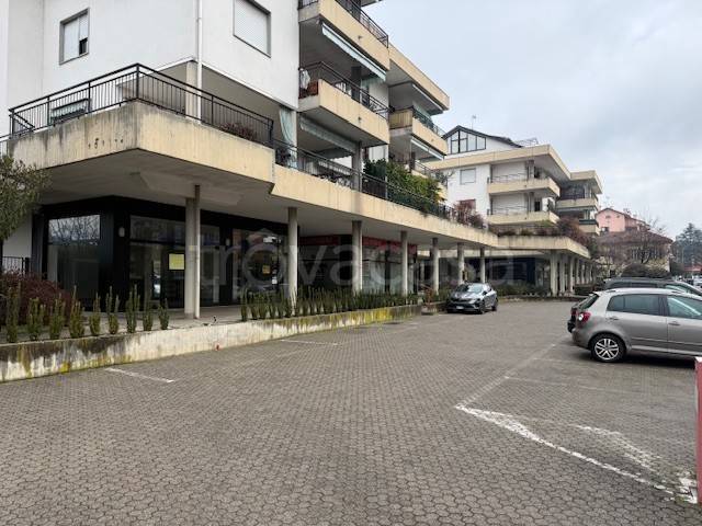 immagine annuncio 12 di 13