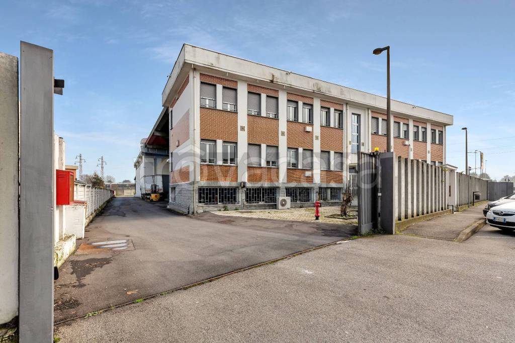 immagine annuncio 11 di 15