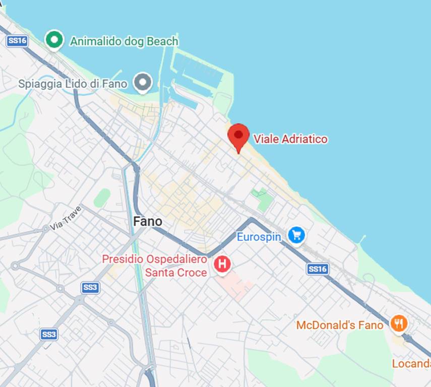 immagine annuncio 6 di 12