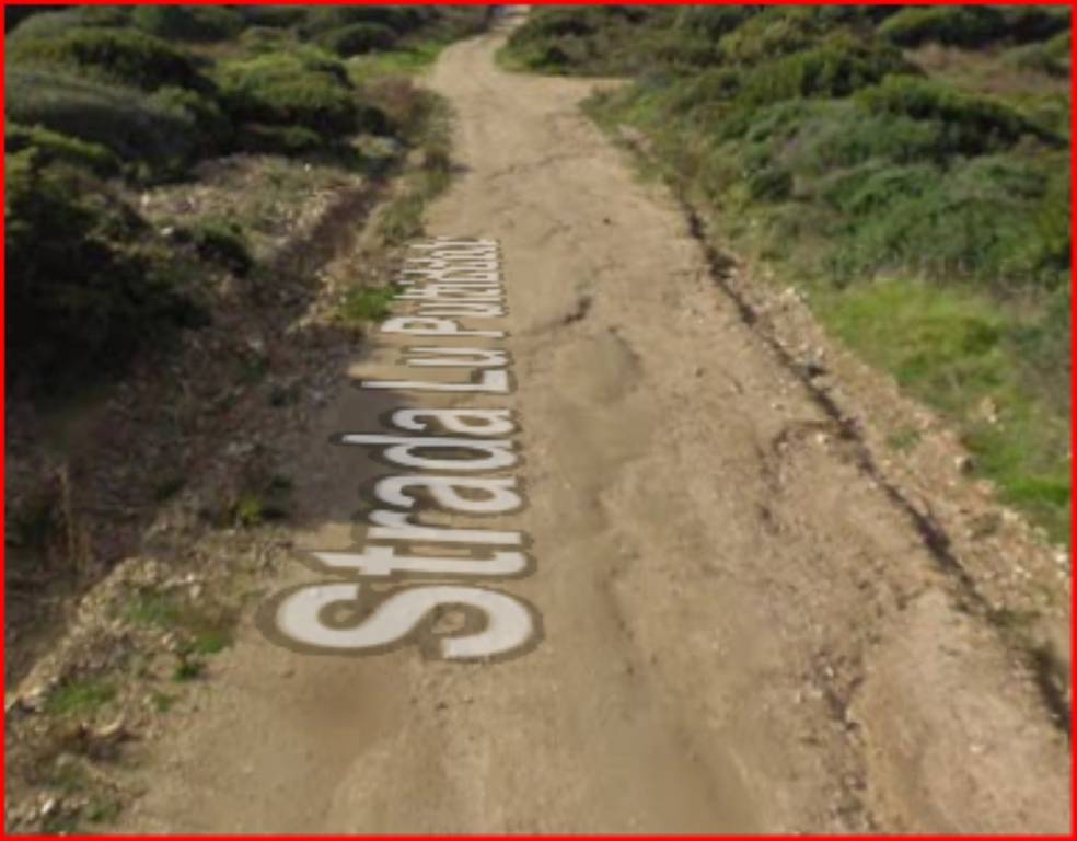 immagine annuncio 8 di 12