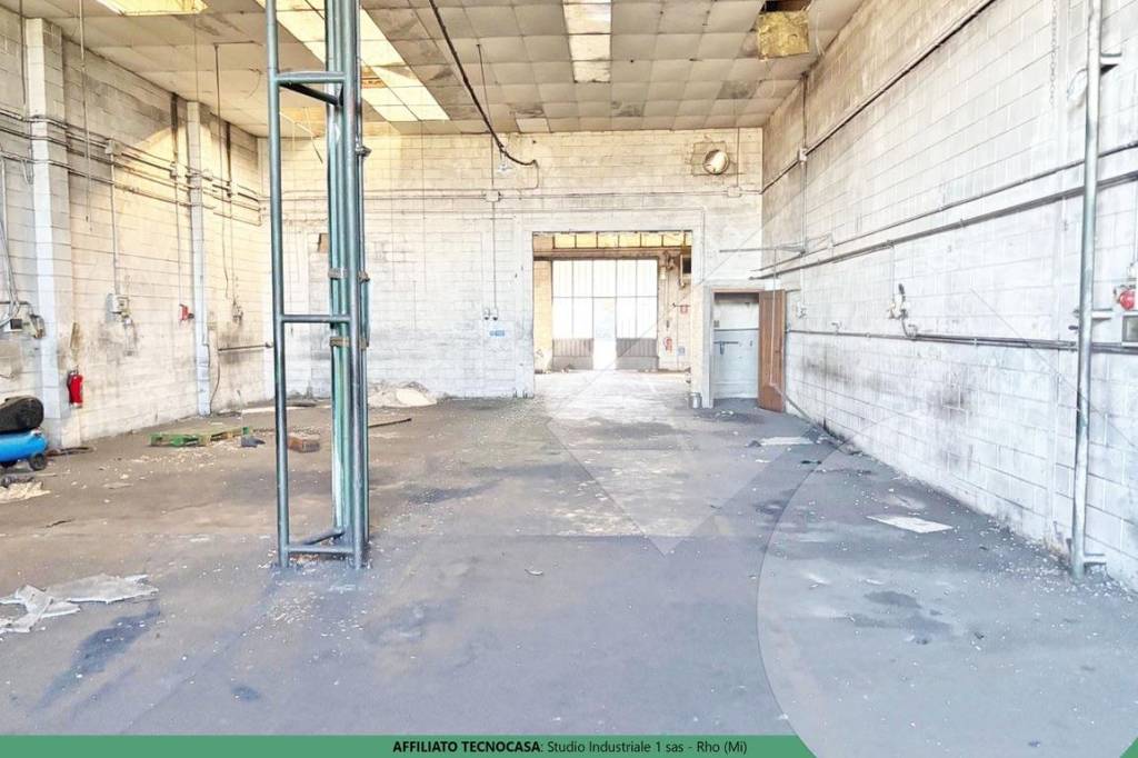 immagine annuncio 1 di 13