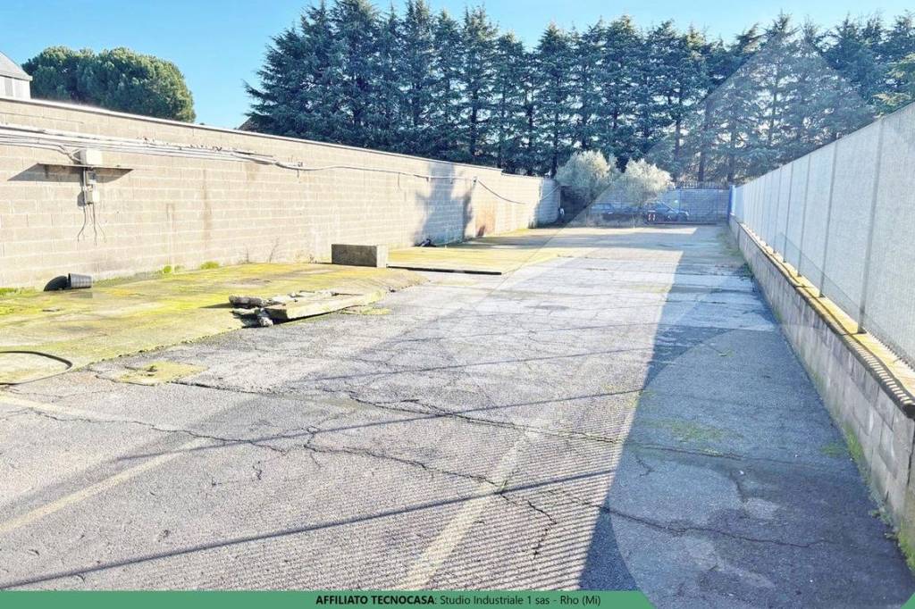 immagine annuncio 3 di 13