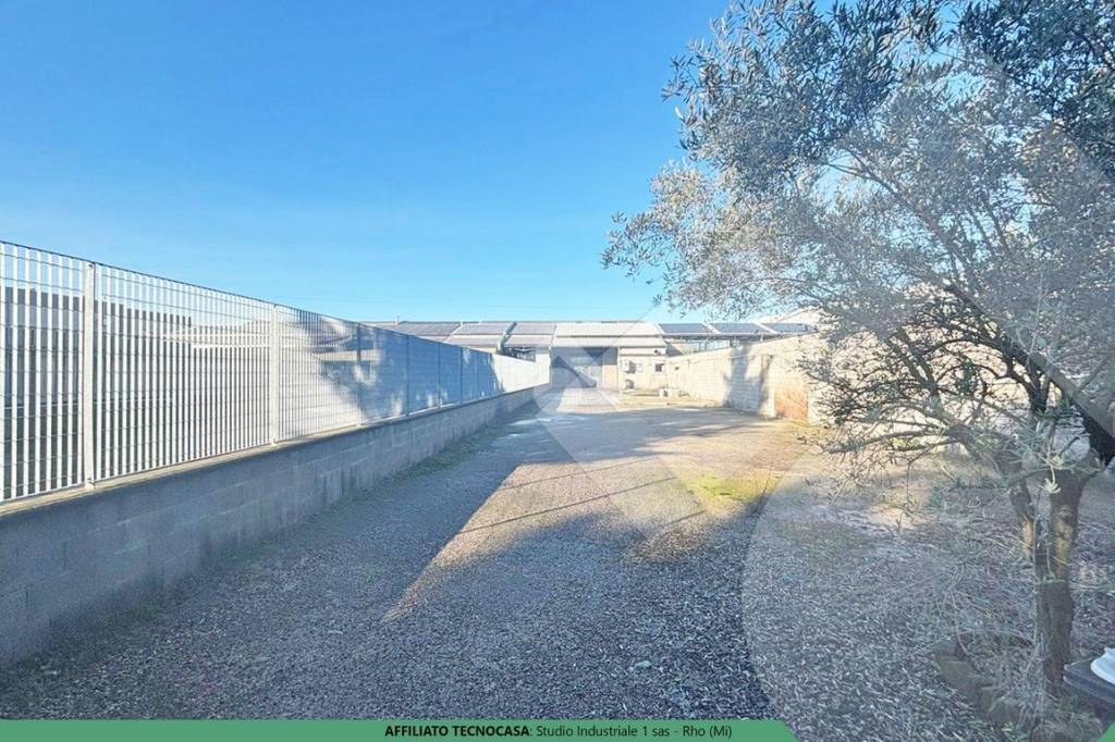 immagine annuncio 6 di 13