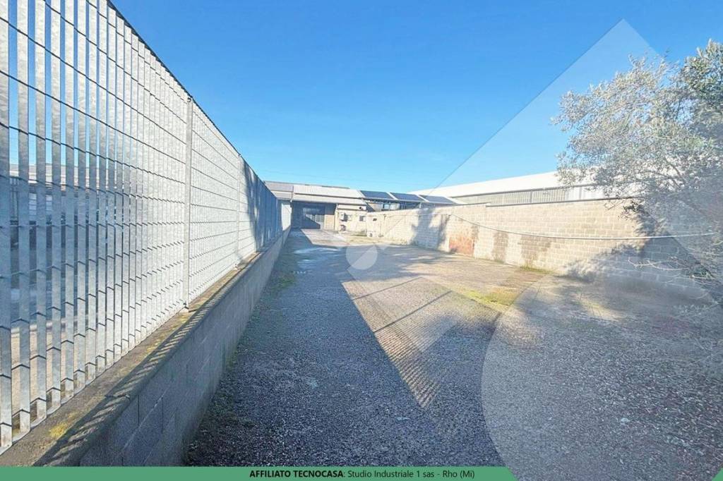 immagine annuncio 11 di 13