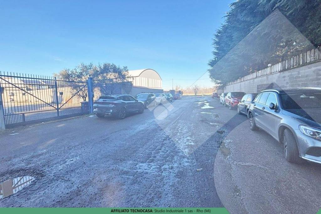 immagine annuncio 12 di 13