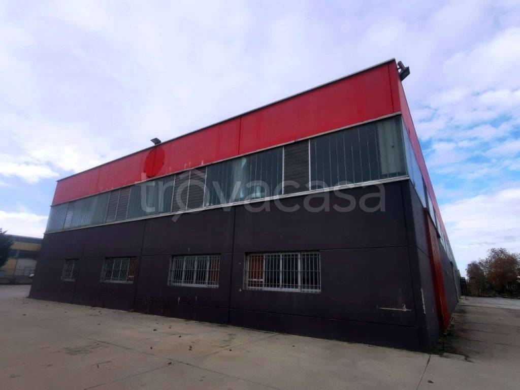 immagine annuncio 5 di 15