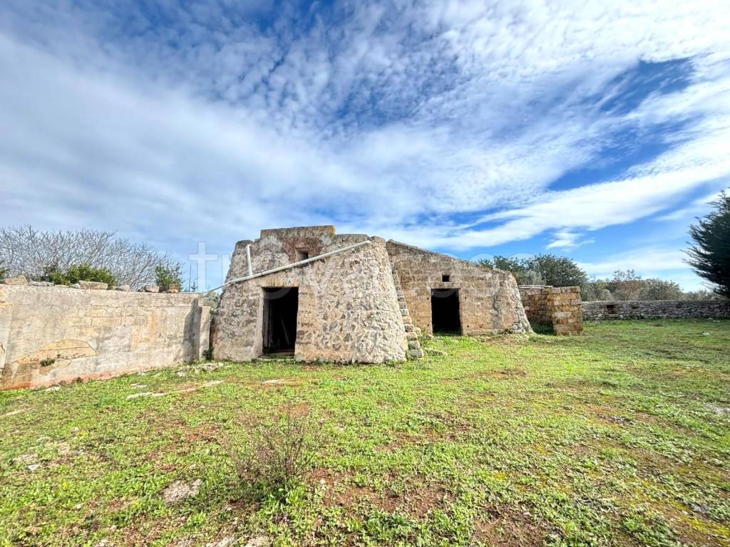 immagine annuncio 2 di 9