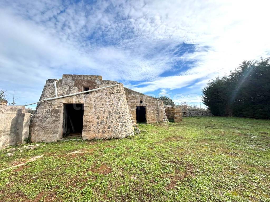 immagine annuncio 3 di 9