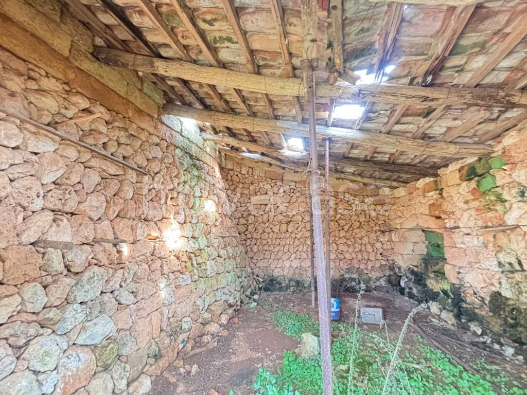 immagine annuncio 4 di 9