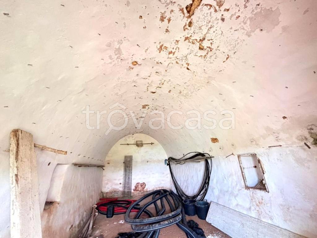 immagine annuncio 5 di 9