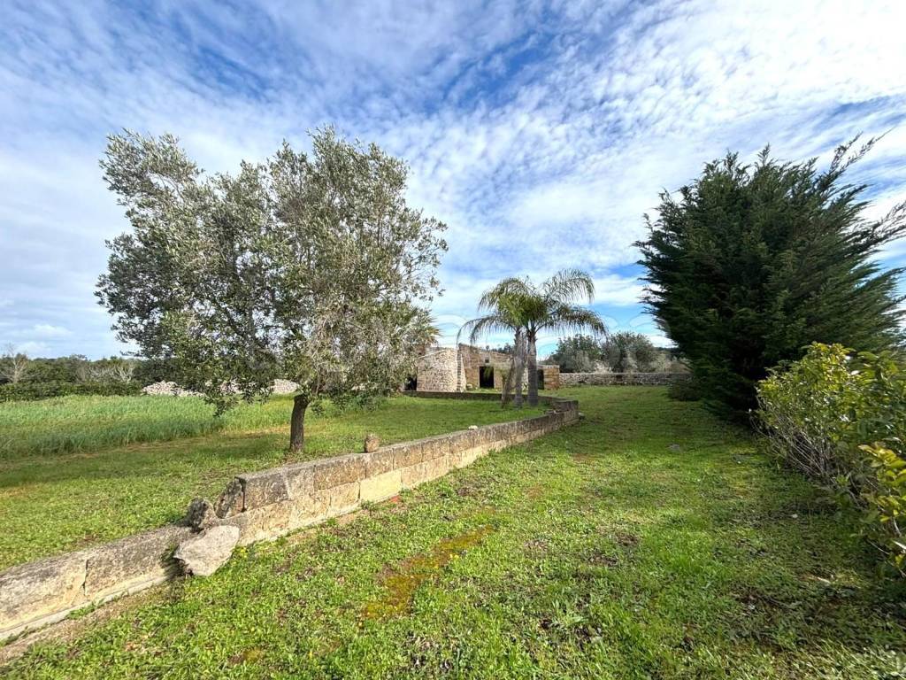 immagine annuncio 7 di 9