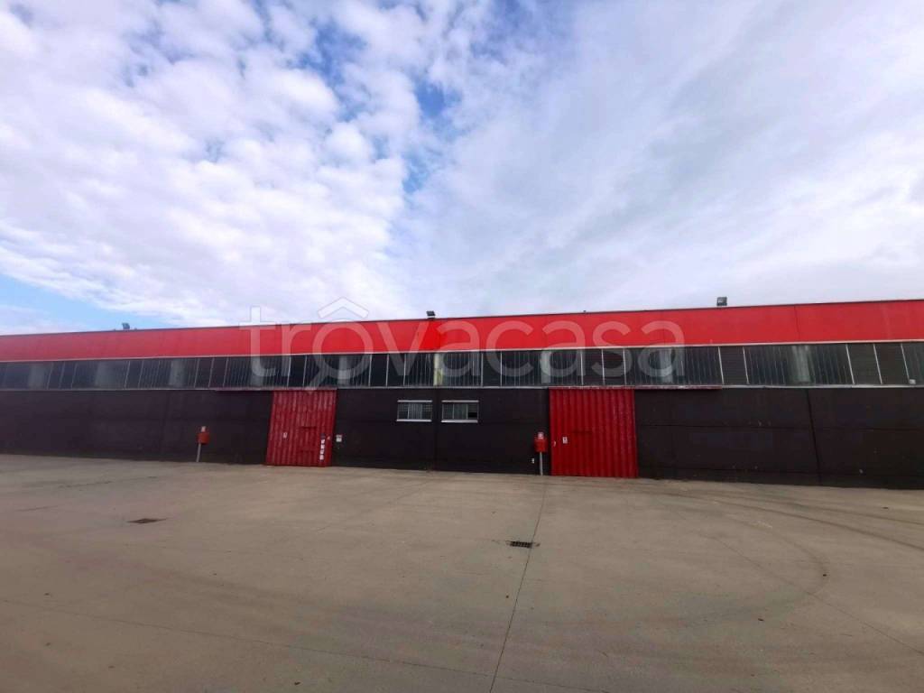 immagine annuncio 5 di 10