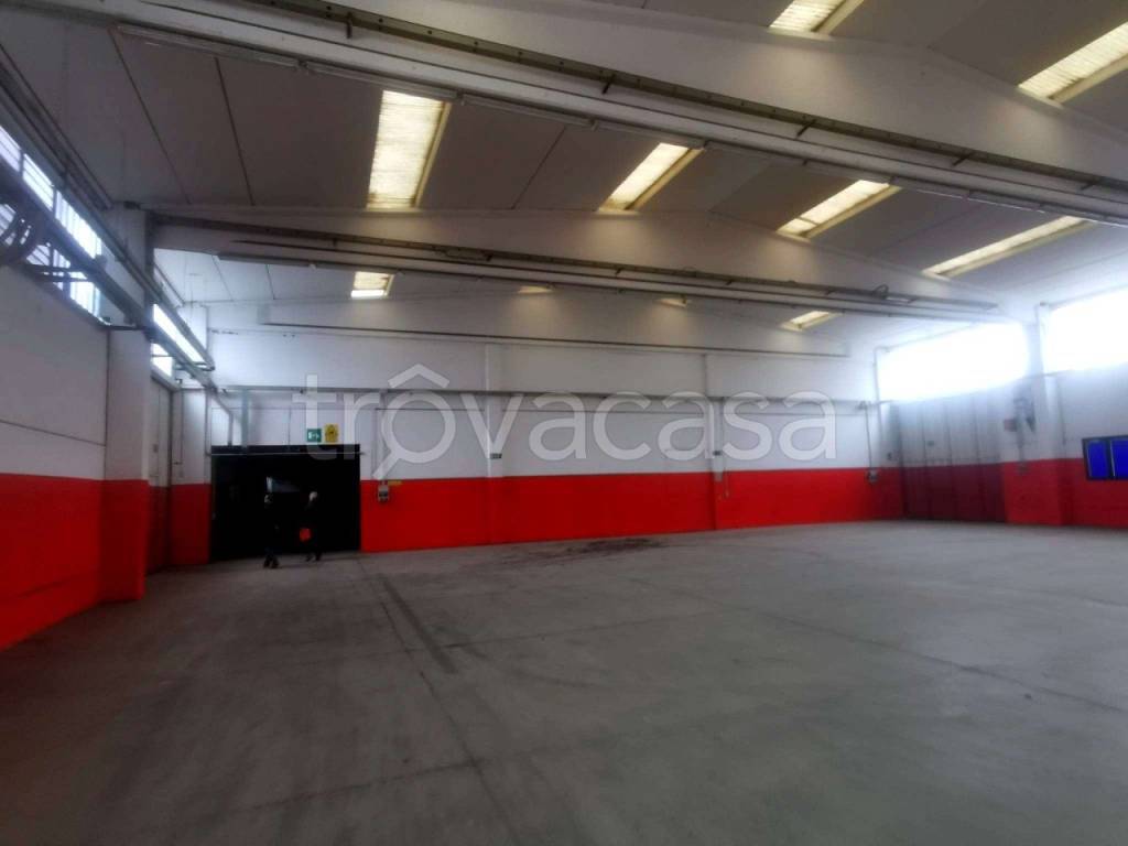 immagine annuncio 9 di 10