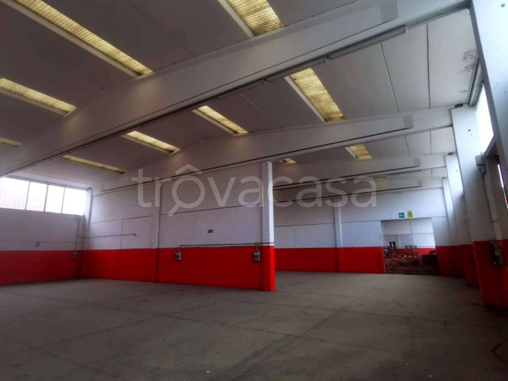 immagine annuncio 8 di 11