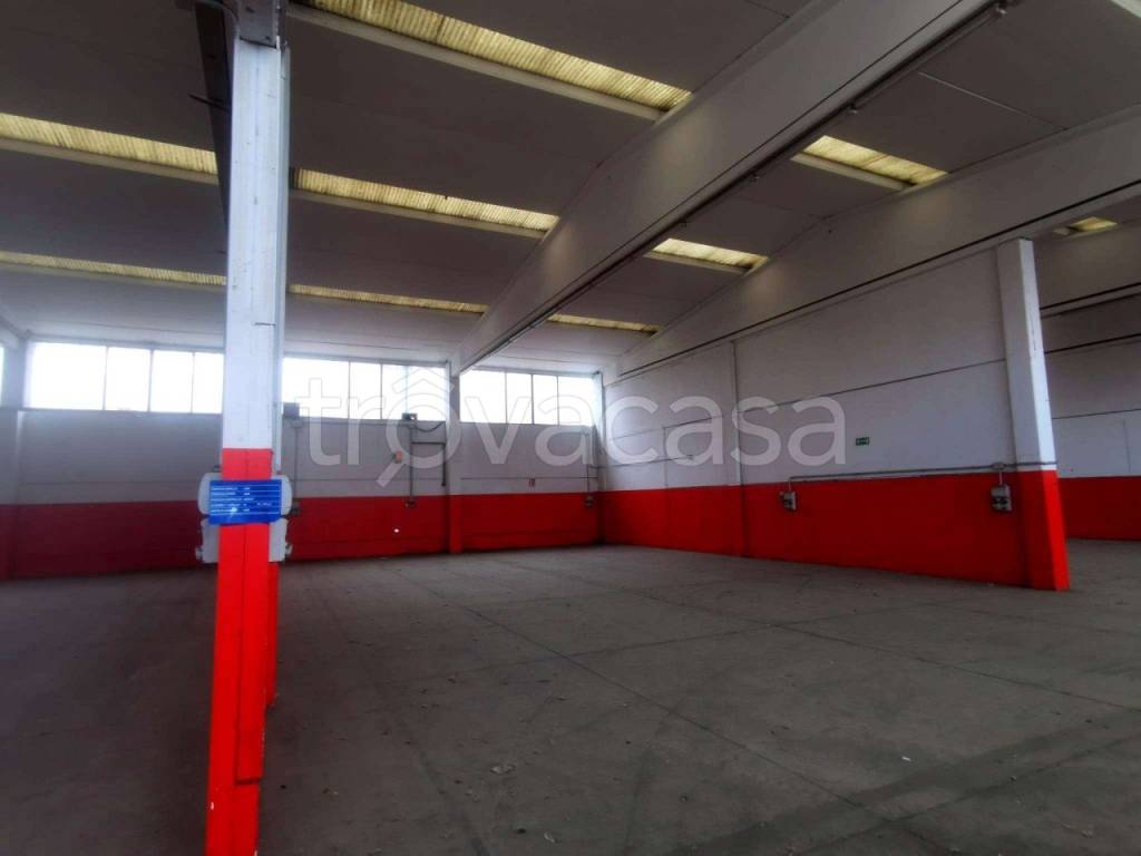 immagine annuncio 9 di 11