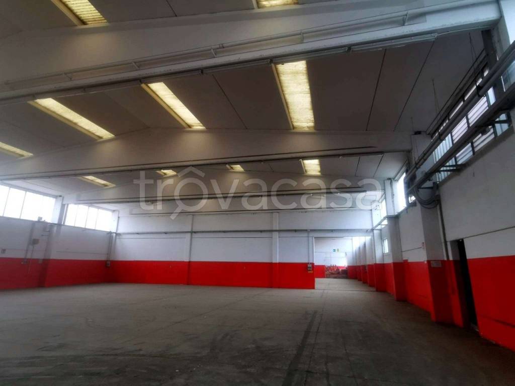 immagine annuncio 10 di 11