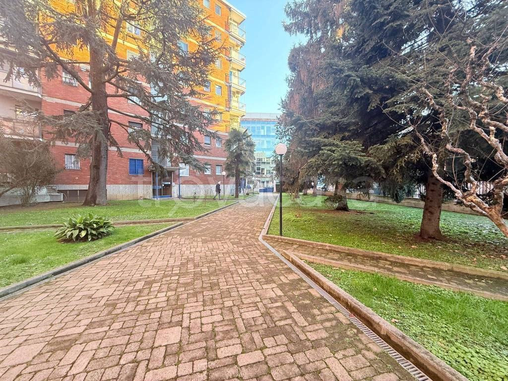 immagine annuncio 9 di 13