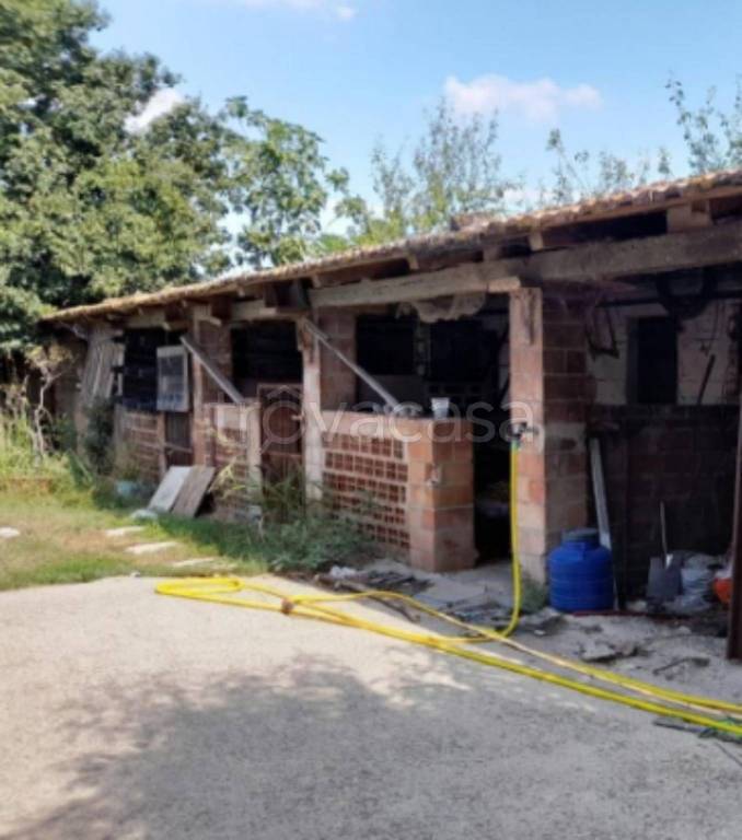 immagine annuncio 6 di 11