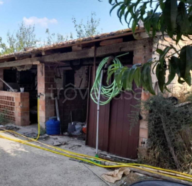 immagine annuncio 7 di 11