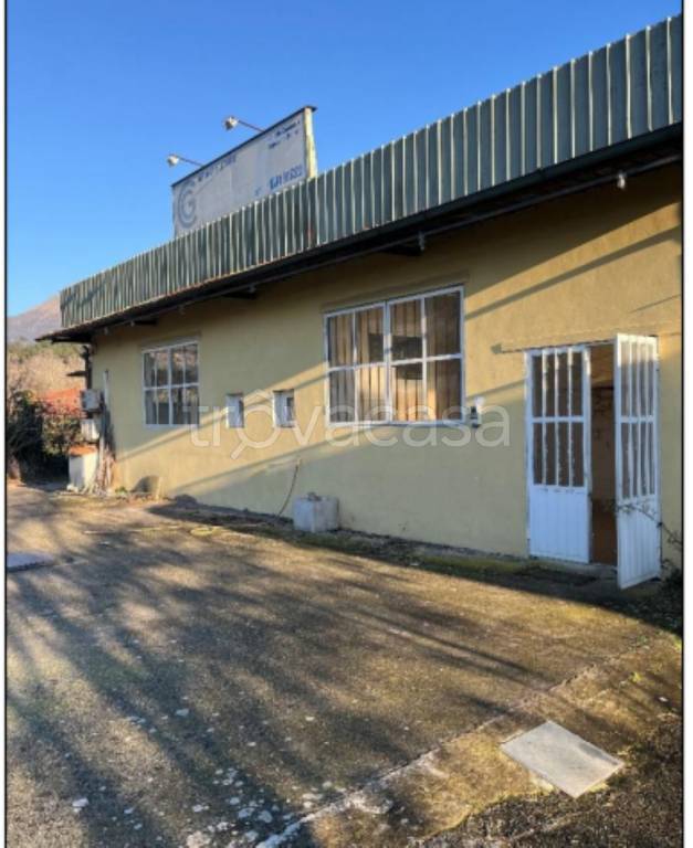 immagine annuncio 1 di 9