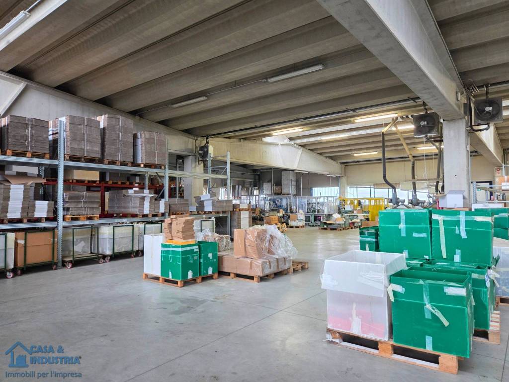 immagine annuncio 13 di 15