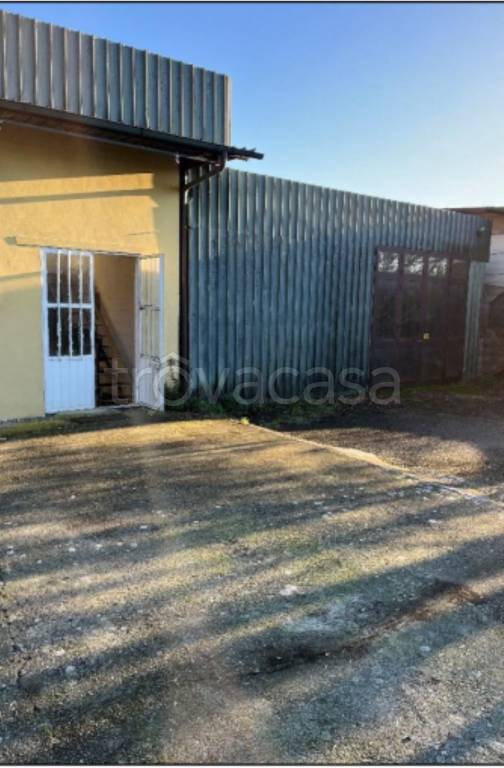 immagine annuncio 2 di 9