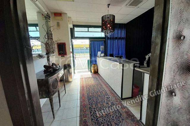 immagine annuncio 5 di 14