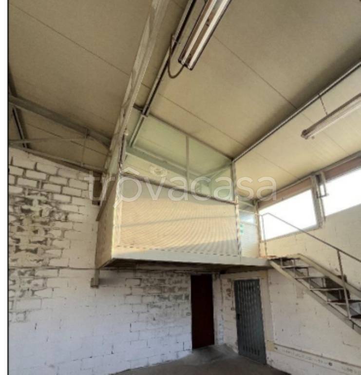 immagine annuncio 3 di 9