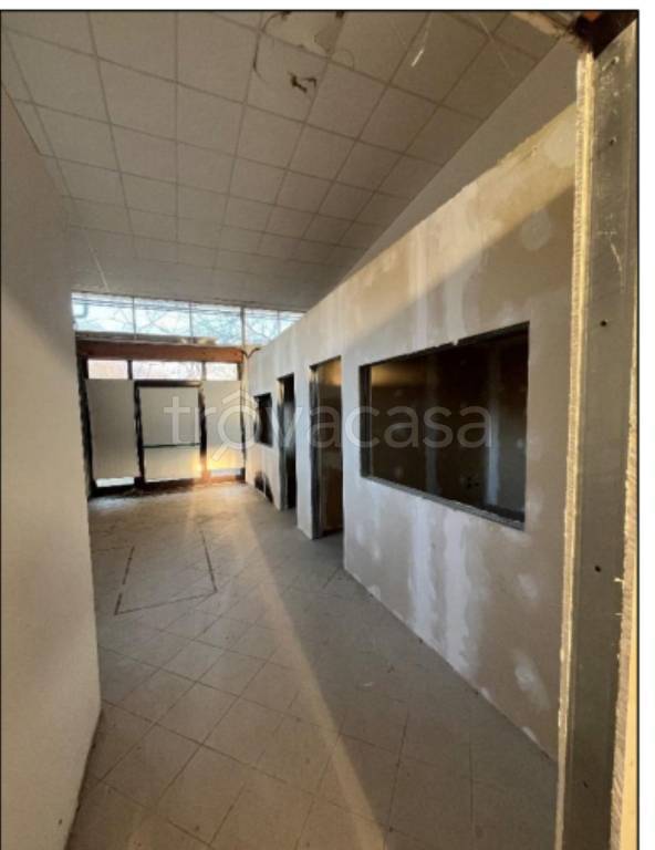 immagine annuncio 4 di 9