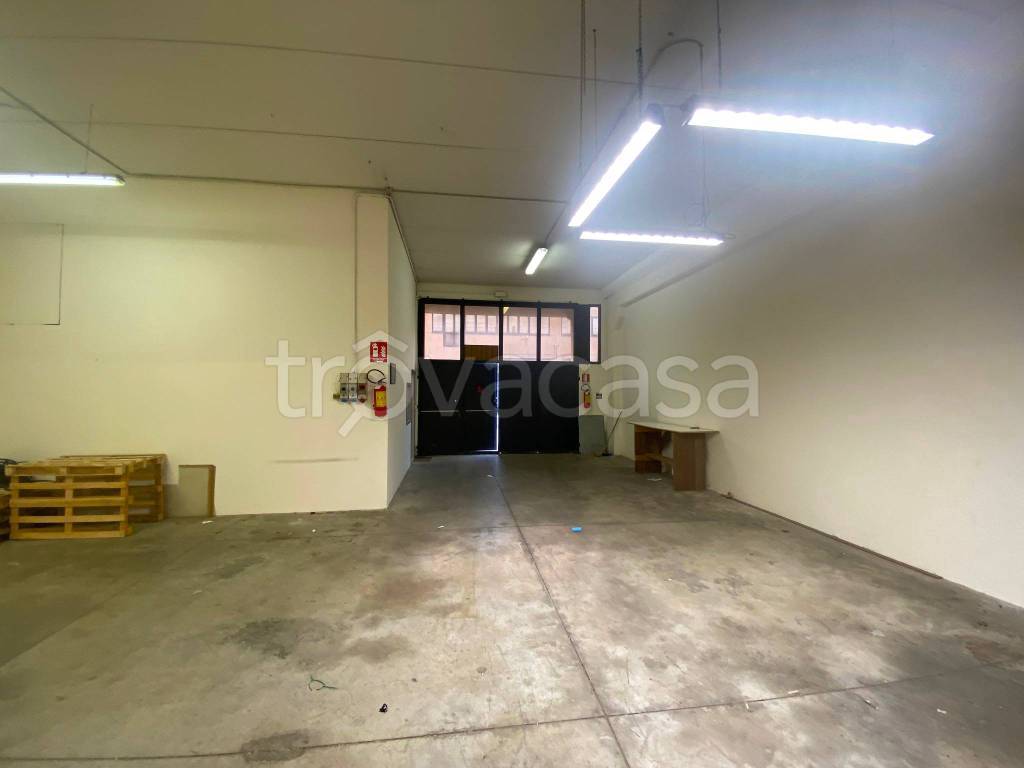 immagine annuncio 7 di 15