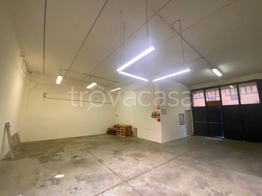 immagine annuncio 9 di 15