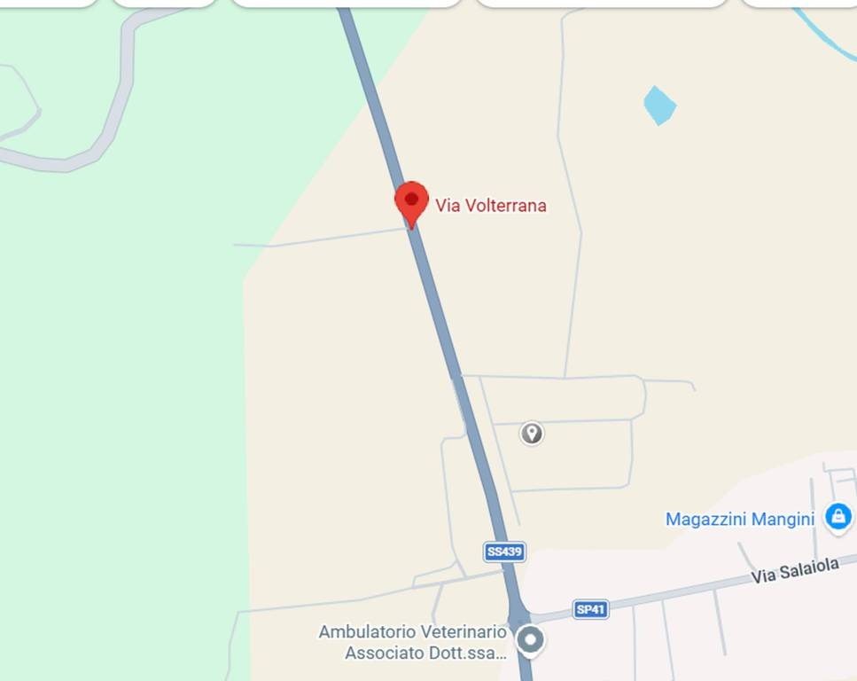 immagine annuncio 7 di 11