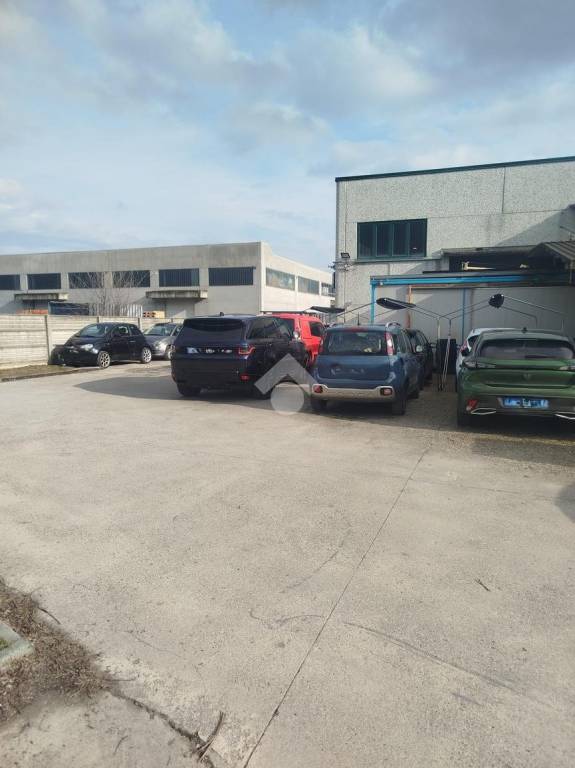 immagine annuncio 5 di 15