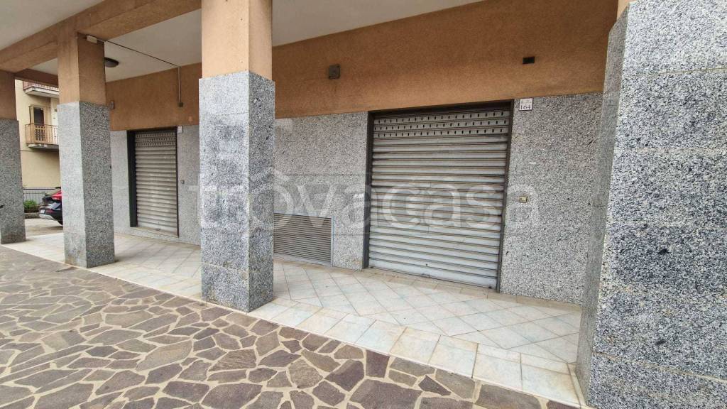 immagine annuncio 3 di 6