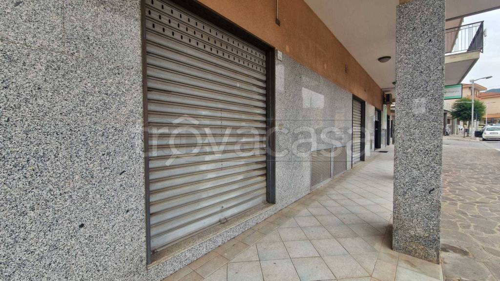 immagine annuncio 4 di 6