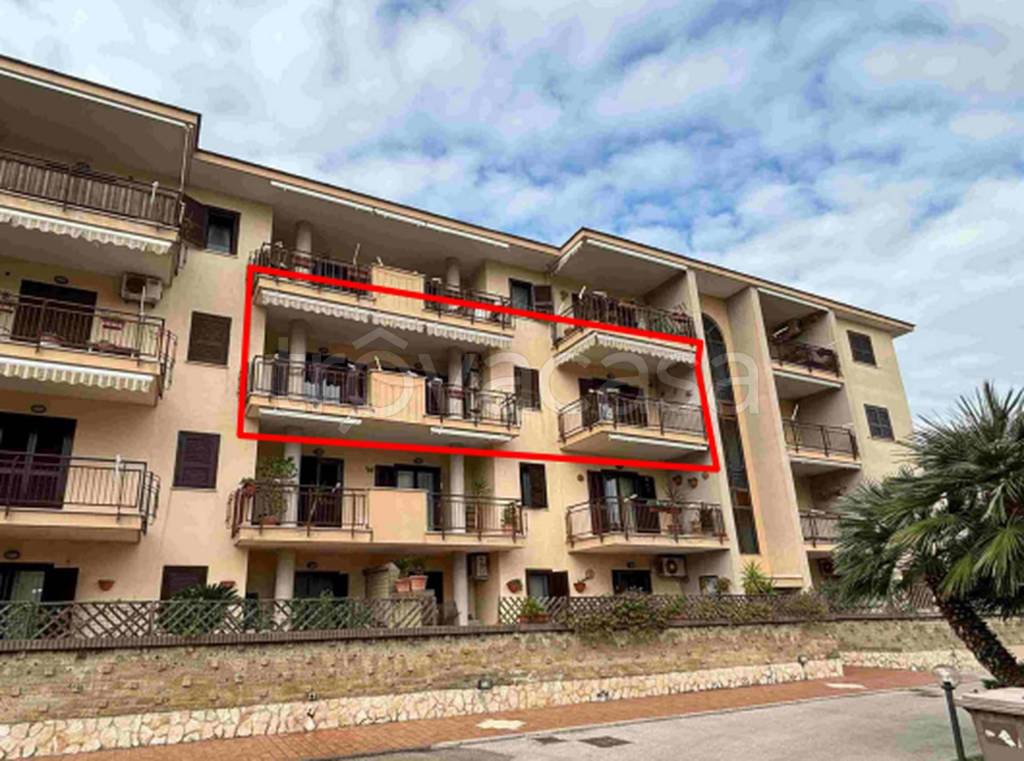 immagine annuncio 8 di 12