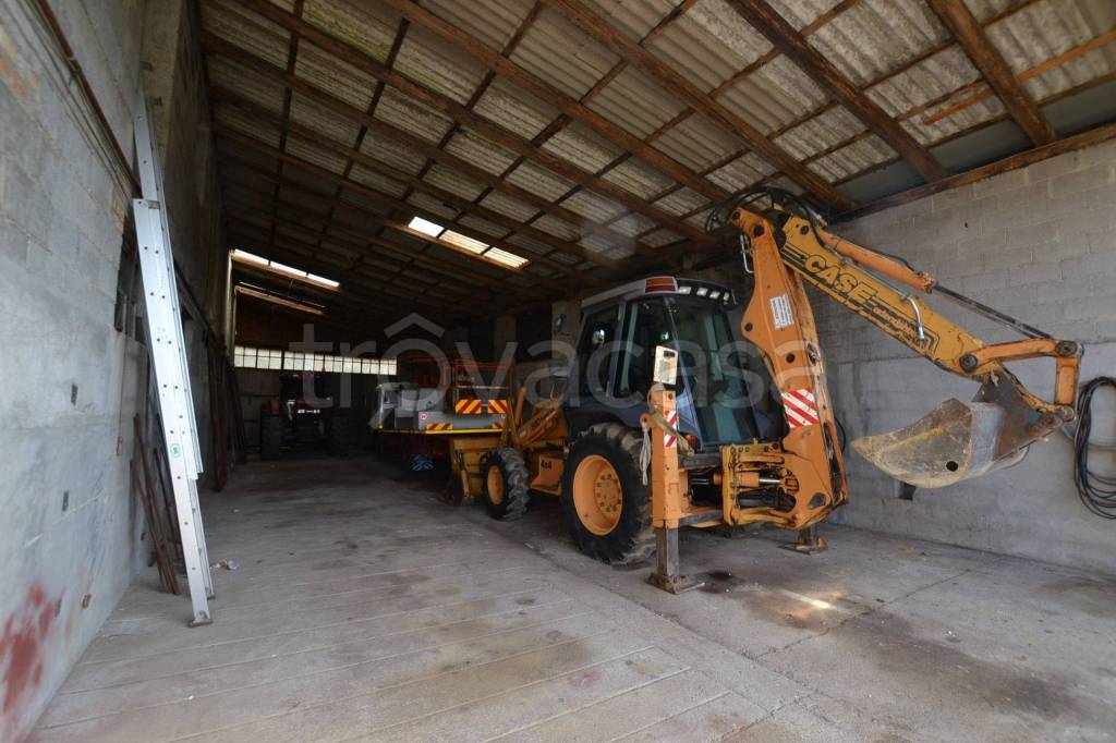 immagine annuncio 3 di 11