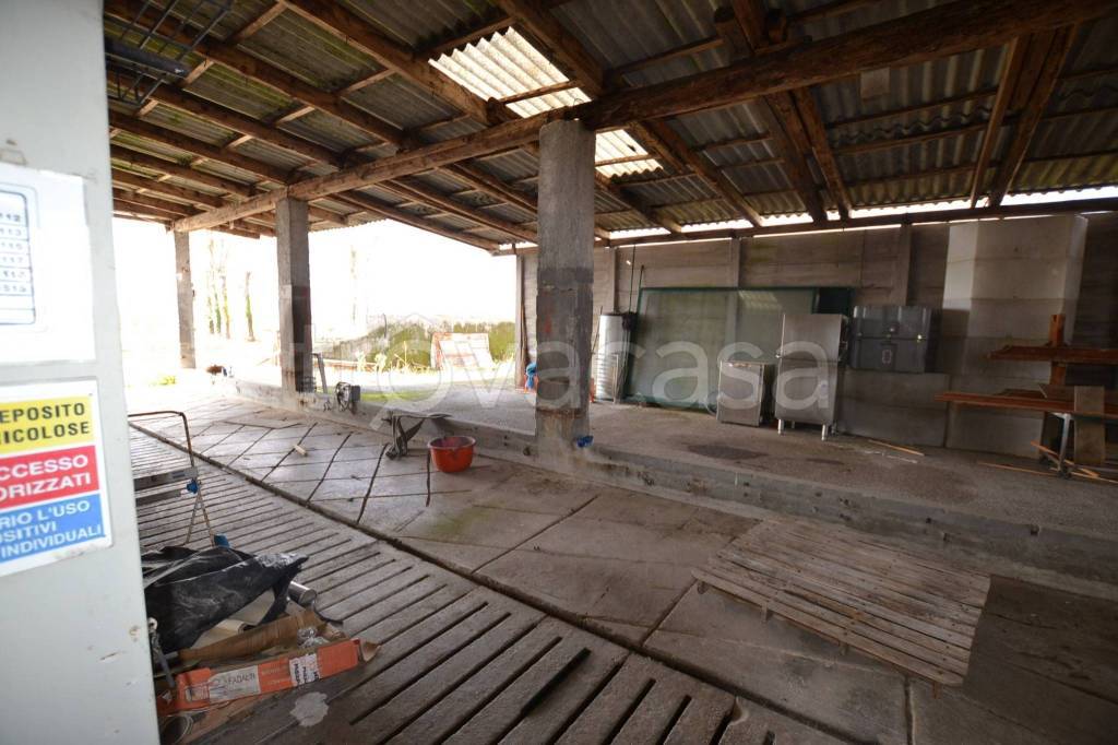 immagine annuncio 5 di 11