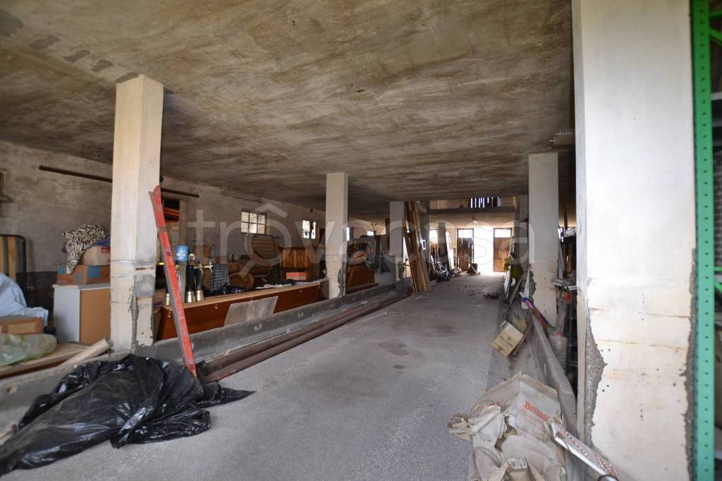 immagine annuncio 8 di 11