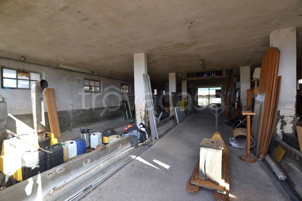 immagine annuncio 9 di 11