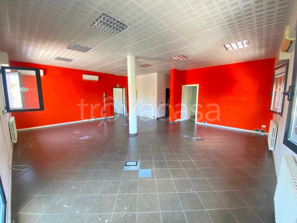 immagine annuncio 2 di 9