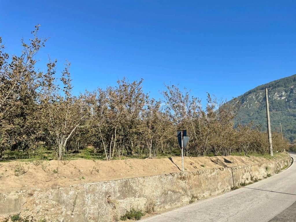 immagine annuncio 4 di 7