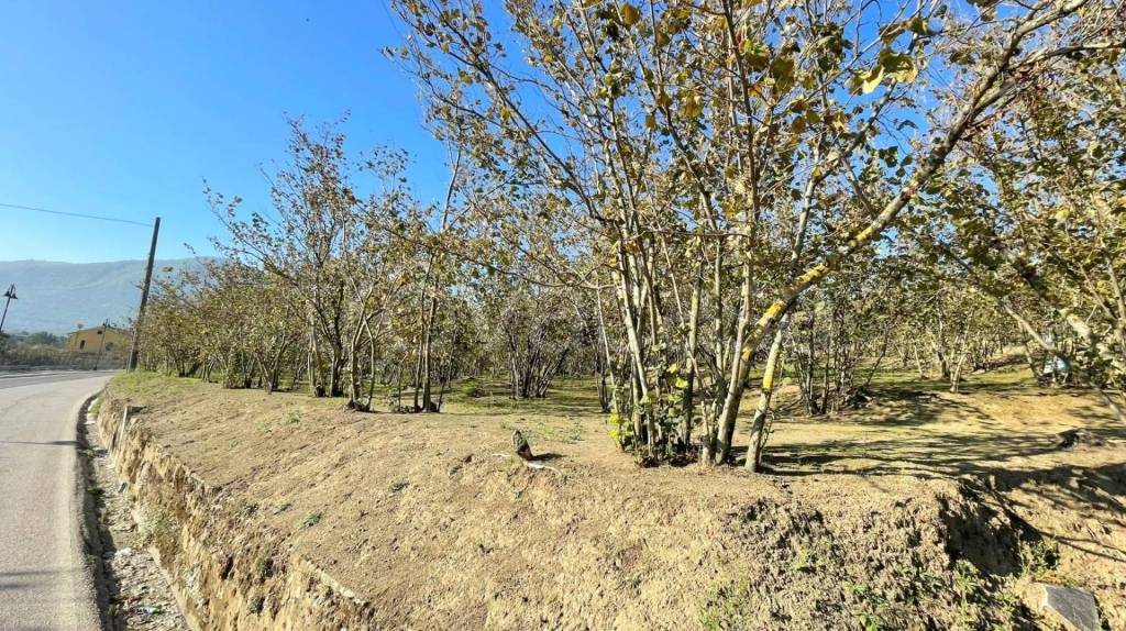 immagine annuncio 5 di 7