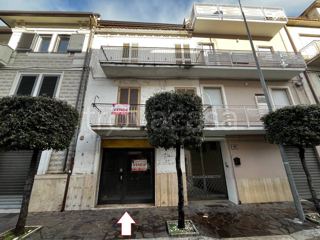 immagine annuncio 1 di 6