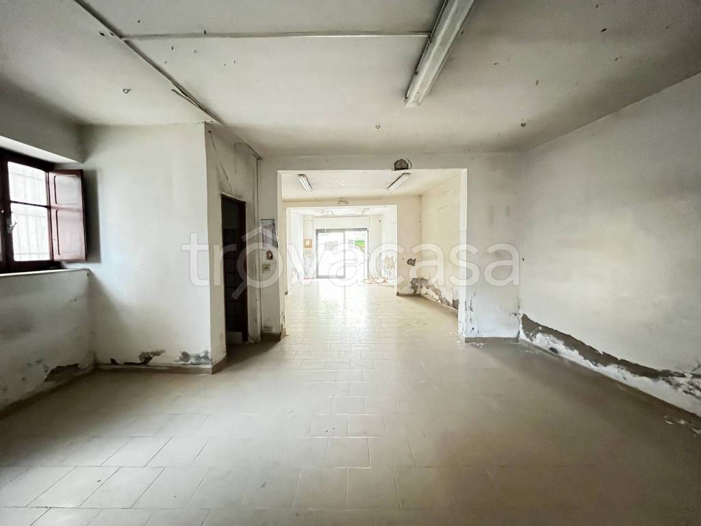 immagine annuncio 4 di 6