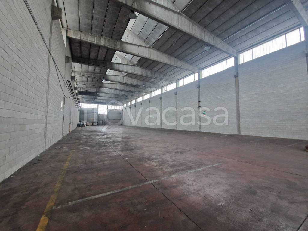 immagine annuncio 4 di 11